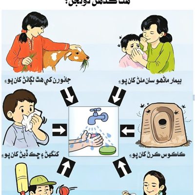 WhatsApp Image 2026-01-29 at 4.27.25 PM